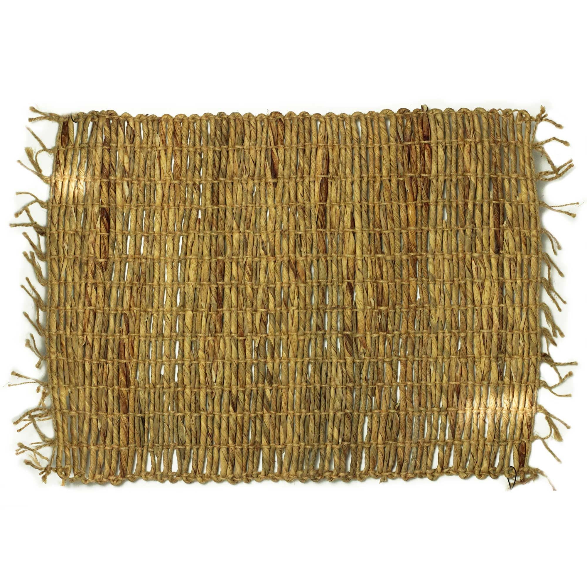 Robusta and Fringe Water Hyacinth Natural Placemat