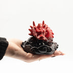 Small Red Dragon Backflow Incense Burner