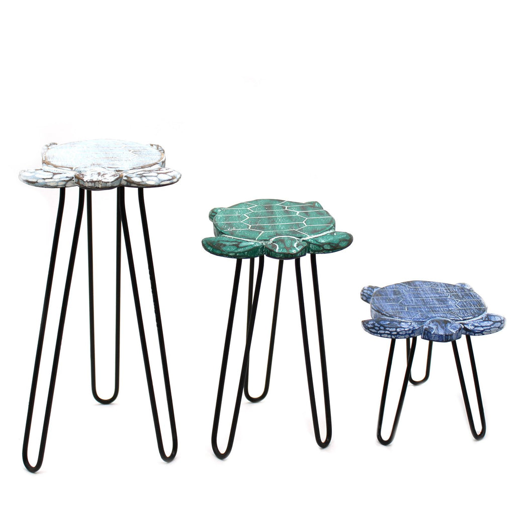 Turtles Set of 3 Albasia Wood Plant Stands