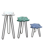 Turtles Set of 3 Albasia Wood Plant Stands