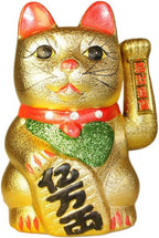 Large Money Cat