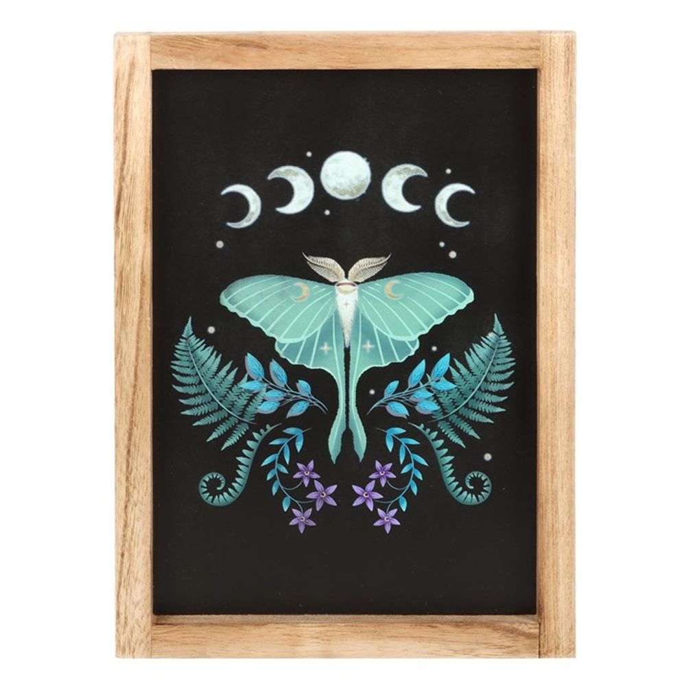 Eleanoras LUNA MOTH FRAMED PRINT Framed Prints