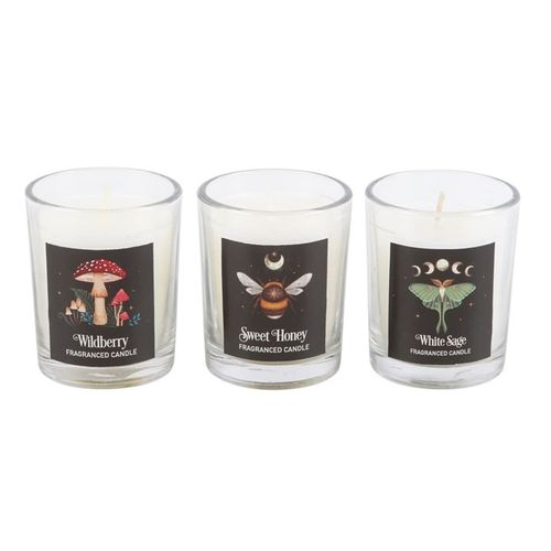 Eleanoras Dark Forest Votive Candle Trio Candles