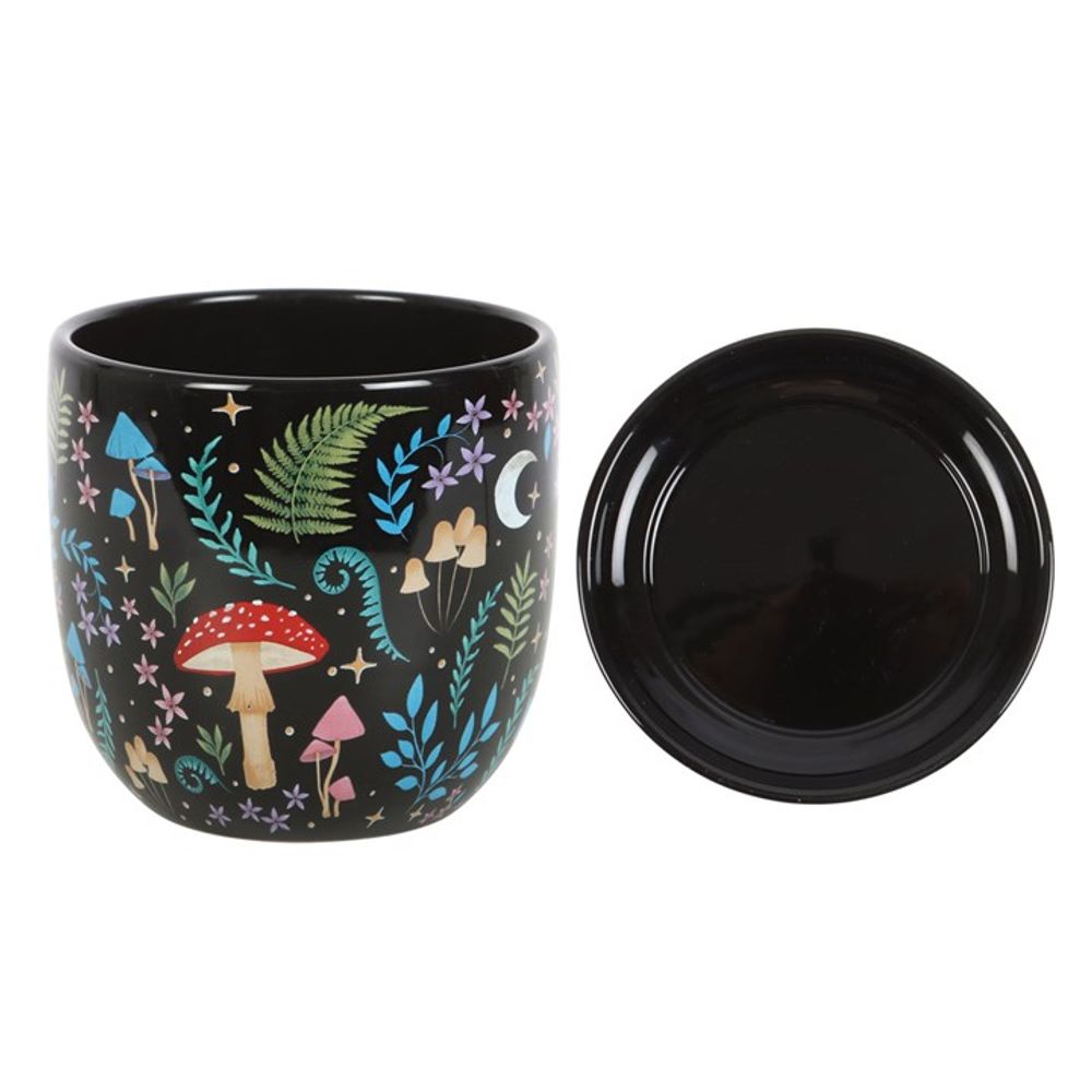 Eleanoras Dark Forest Plant Pot With Saucer Plant Pots