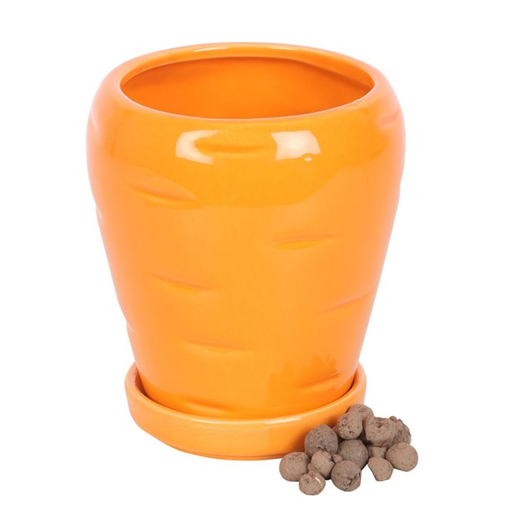 Eleanoras CARROT SHAPED PLANT POT WITH PARSLEY SEED BALLS Plant Pots