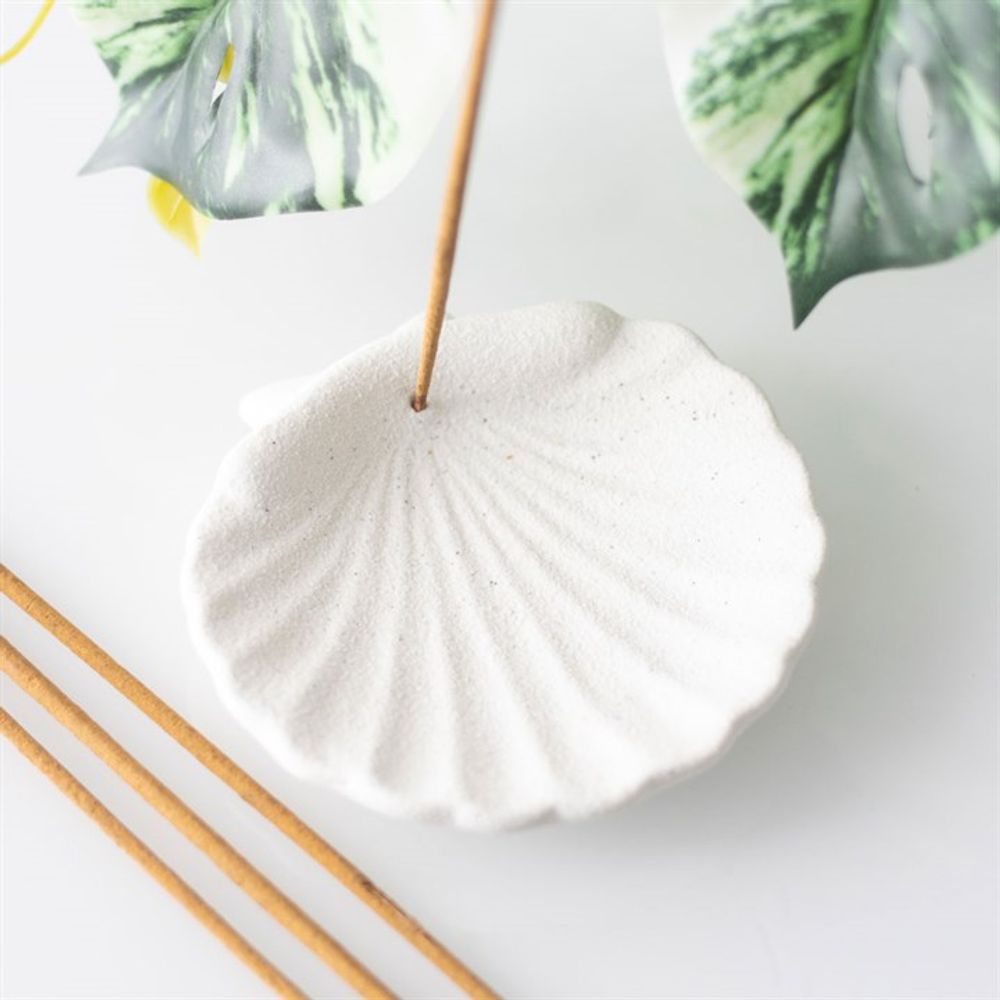 Eleanoras Off White Scallop Shell Incense Stick Holder 