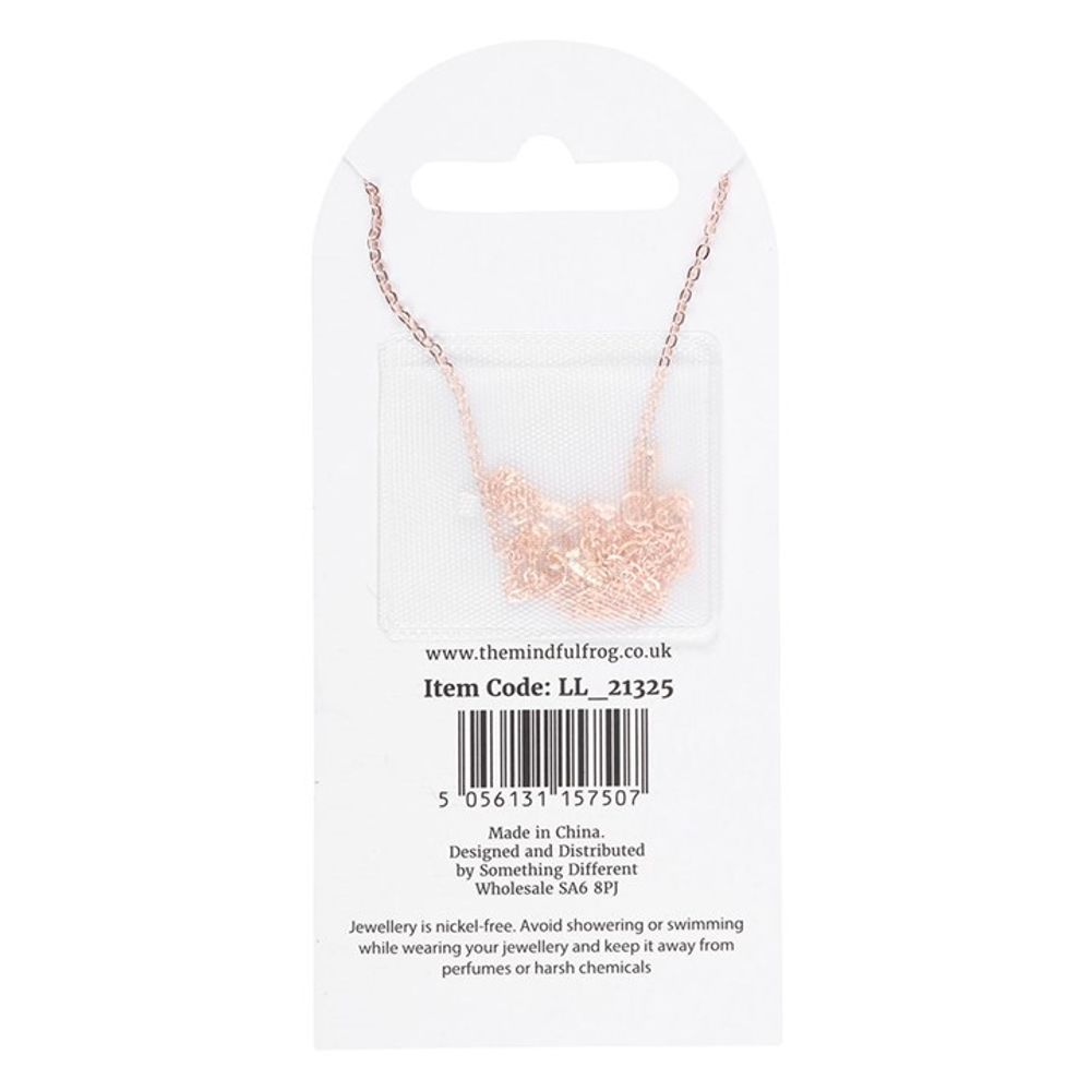 Eleanoras Luna Moth Pendant Necklace Jewellery