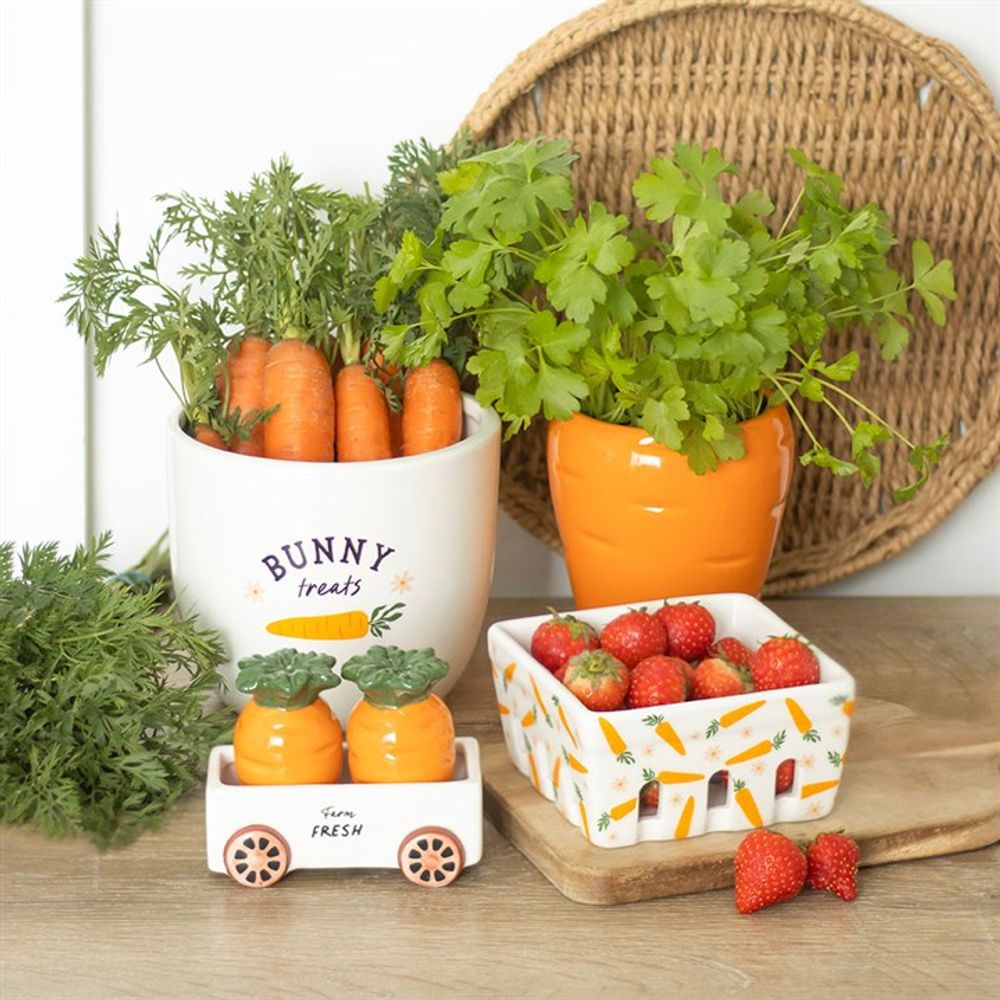 Eleanoras CARROT SHAPED PLANT POT WITH PARSLEY SEED BALLS Plant Pots