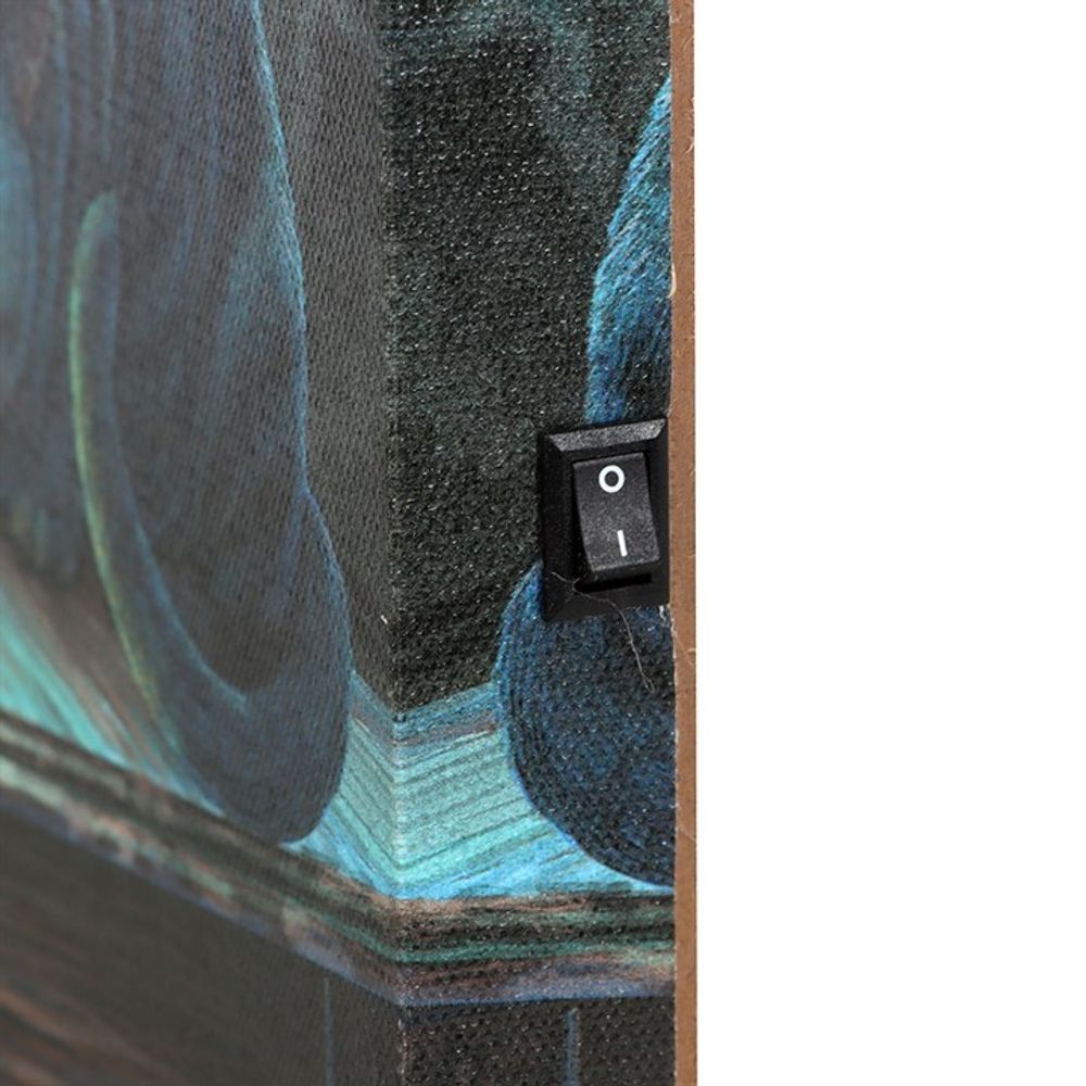 Eleanoras Jekyll & Hyde Light Up Canvas 