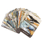 Eleanoras Urban Crow Oracle Cards Oracle Cards