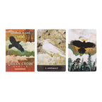 Eleanoras Urban Crow Oracle Cards Oracle Cards