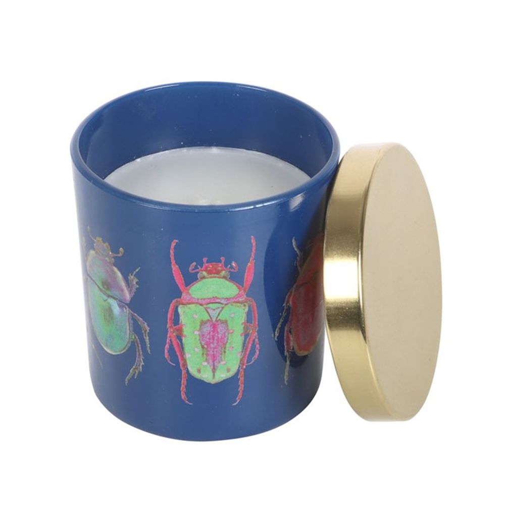 Eleanoras Blue Beetle Candle Candles