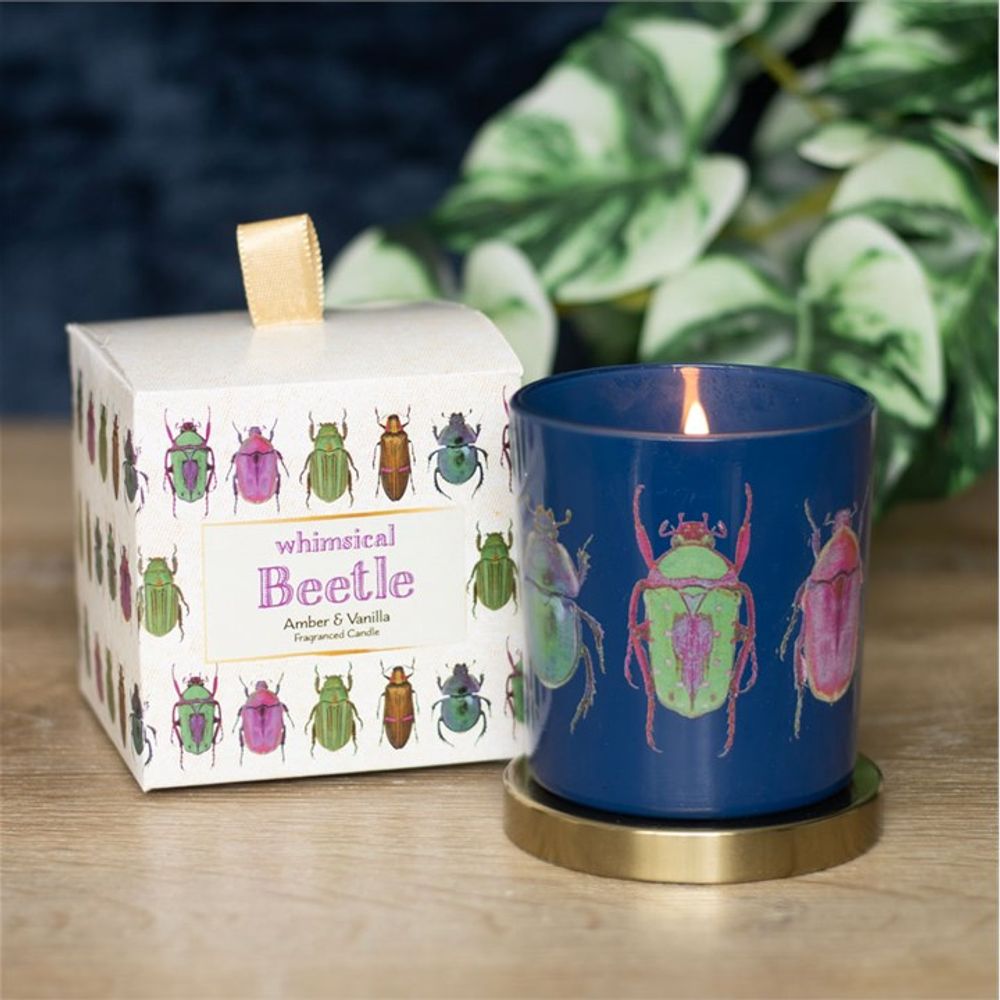 Eleanoras Blue Beetle Candle Candles