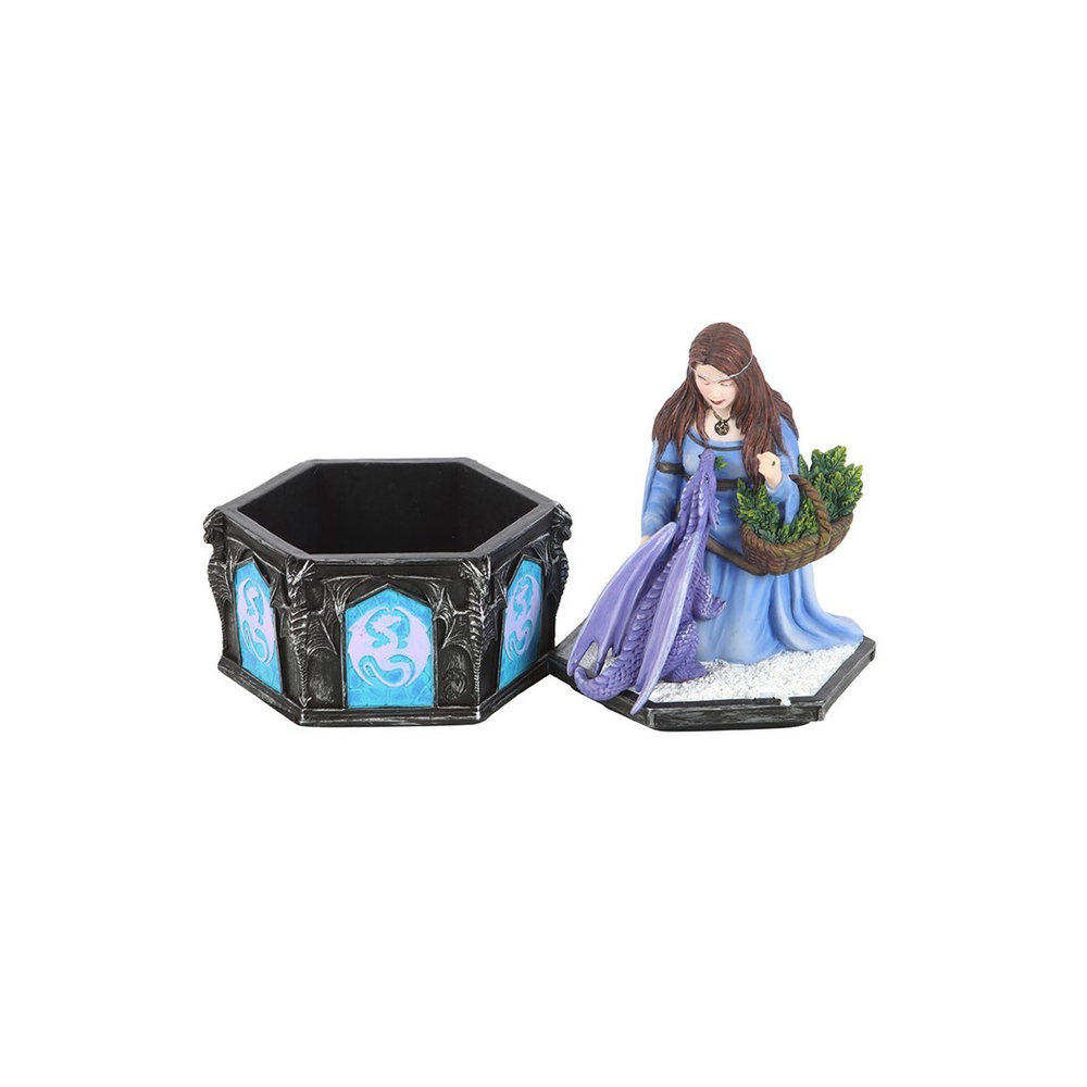 Eleanoras Dragon Friendship Winter Box  by Anne Stokes 