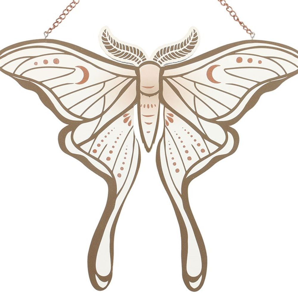 Eleanoras Luna Moth Hanging Sign Signs & Plaques