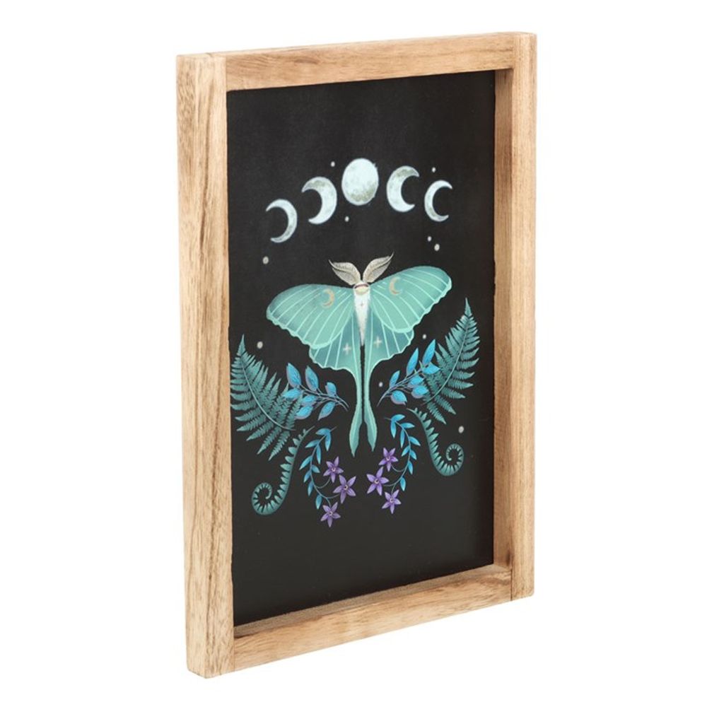 Eleanoras LUNA MOTH FRAMED PRINT Framed Prints