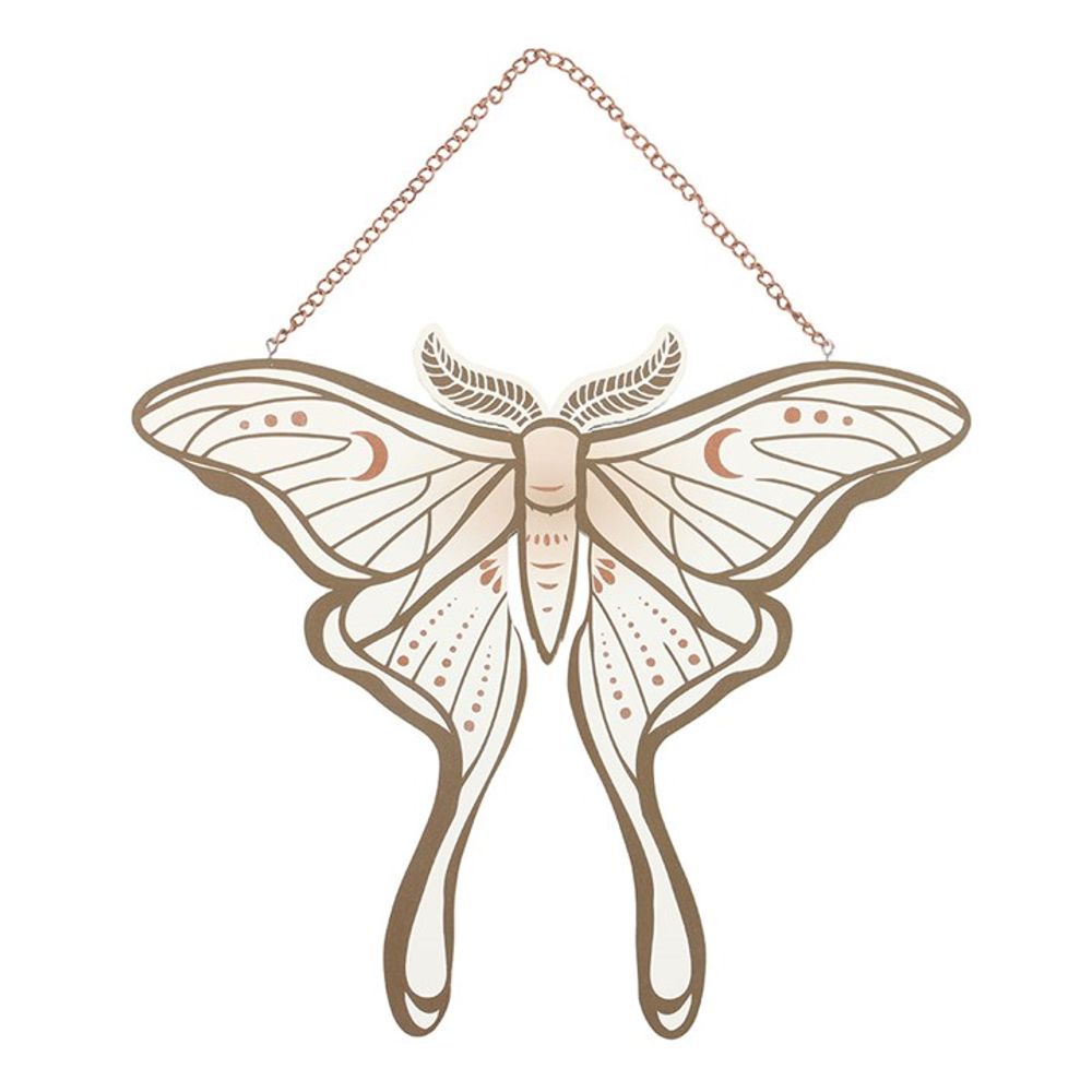 Eleanoras Luna Moth Hanging Sign Signs & Plaques