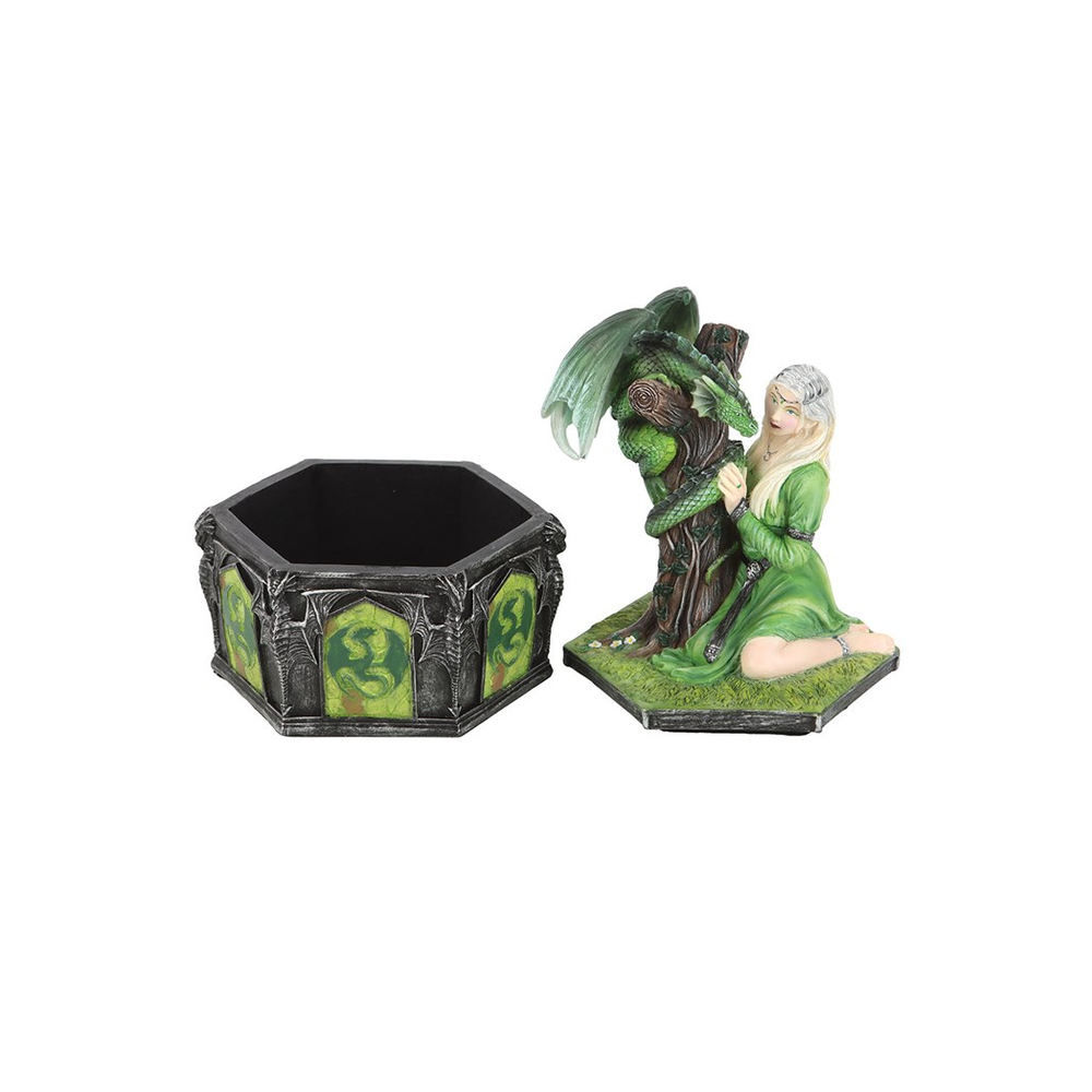 Eleanoras Dragon Friendship Summer Box By Anne Stokes 