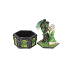 Eleanoras Dragon Friendship Summer Box By Anne Stokes 