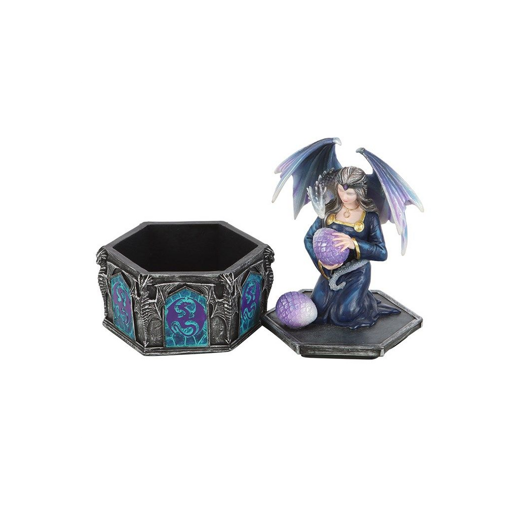 Eleanoras Dragon Friendship Spring Box by Anne Stokes 