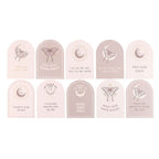 Eleanoras Luna Moth Afformation Cards With Wooden Stand Affirmation Cards
