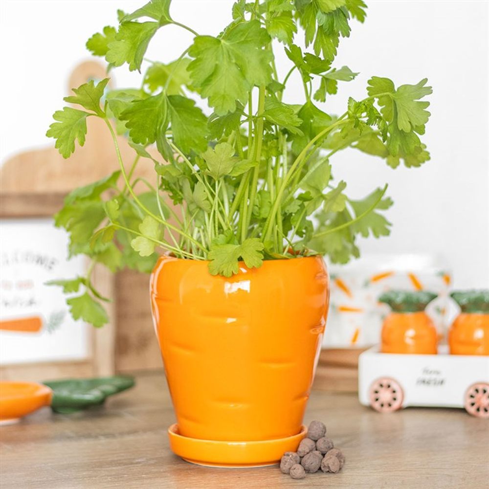 Eleanoras CARROT SHAPED PLANT POT WITH PARSLEY SEED BALLS Plant Pots