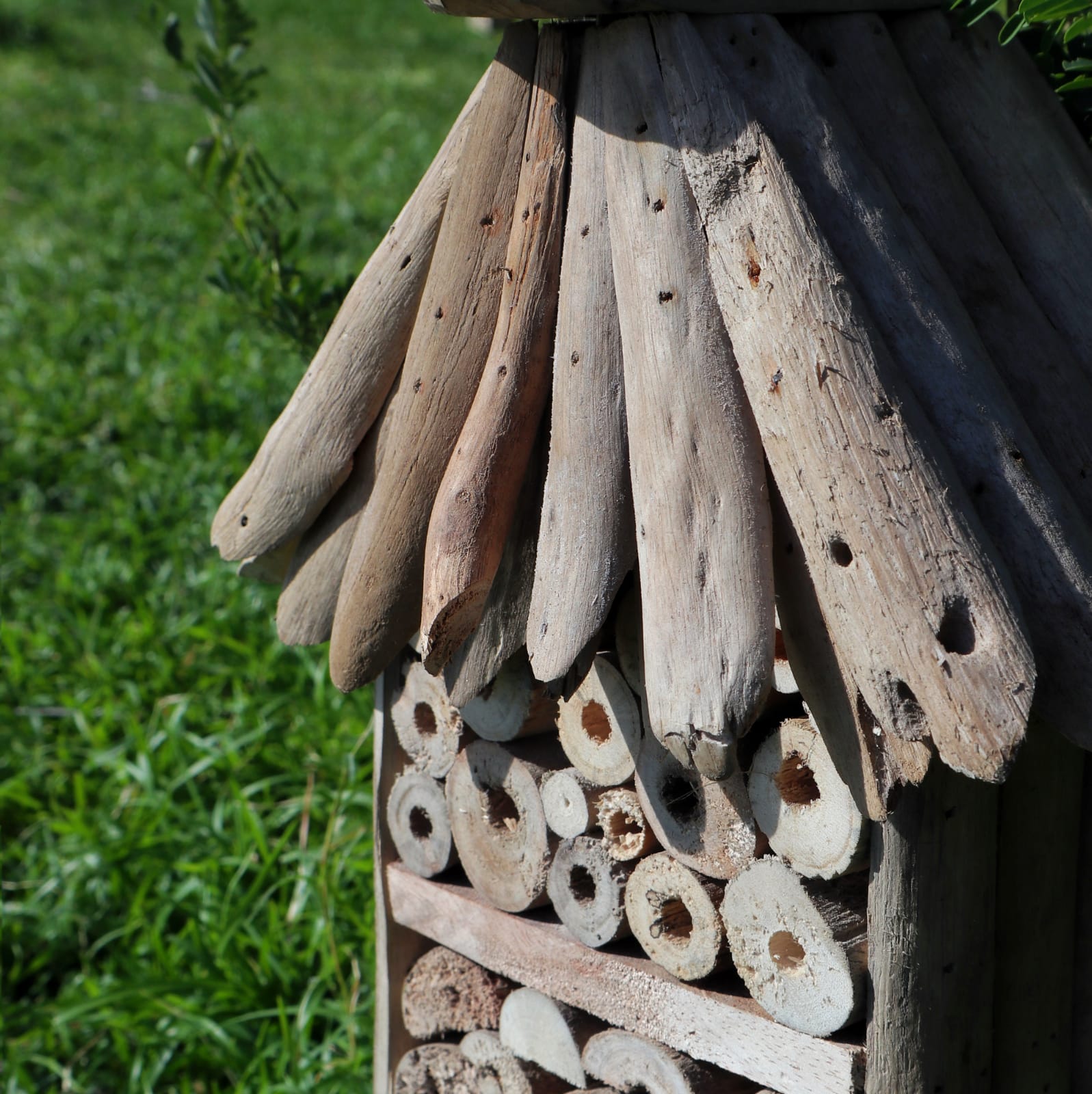 Eleanoras DRIFTWOOD BEE & iNSECT HIGHRISE BOX Bird & Wildlife Houses