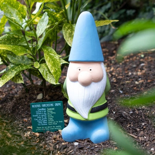 Eleanoras Weather Forecasting Gnome 