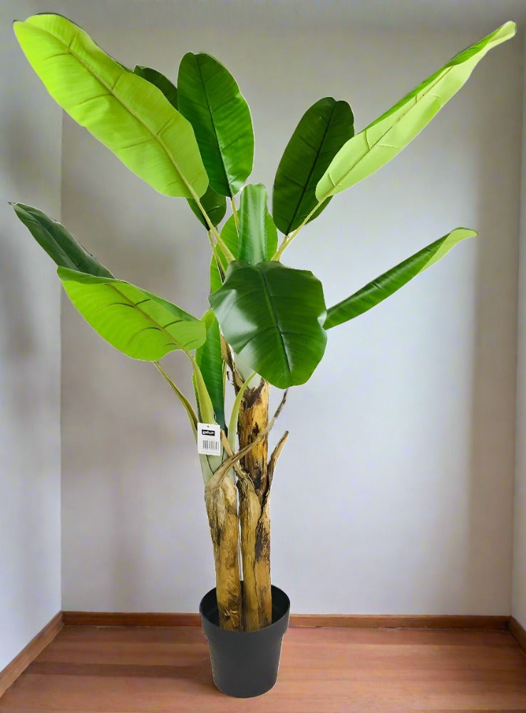 Eleanoras ARTIFICIAL BANANA TREE 140cm Artificial Plants