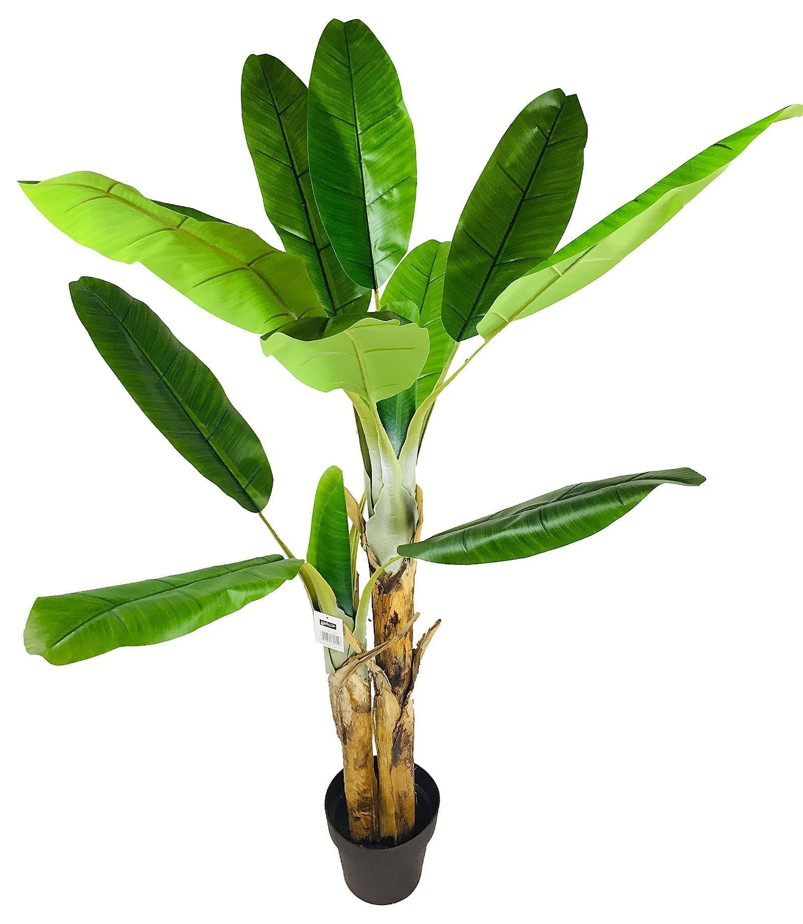 Eleanoras ARTIFICIAL BANANA TREE 140cm Artificial Plants