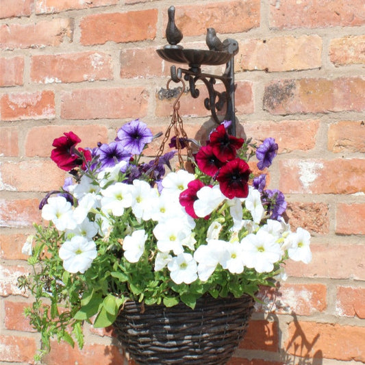 BIRD FEEDER CAST IRON HANGING BASKET WALL BRACKET  from Eleanoras