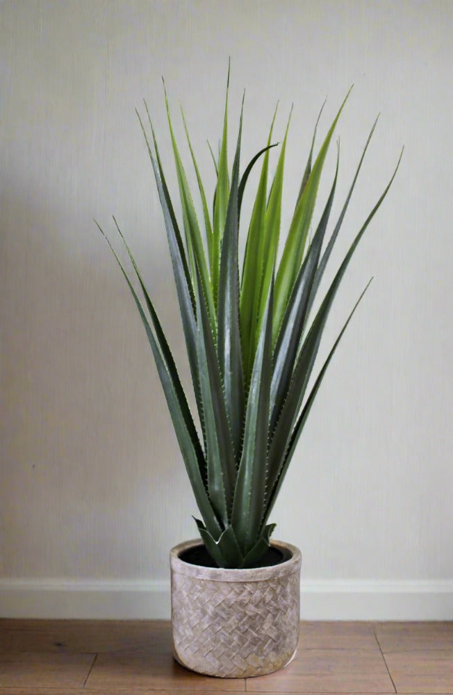 Eleanoras Artificial Aloe Vera Plant, 80cm Artificial Plants