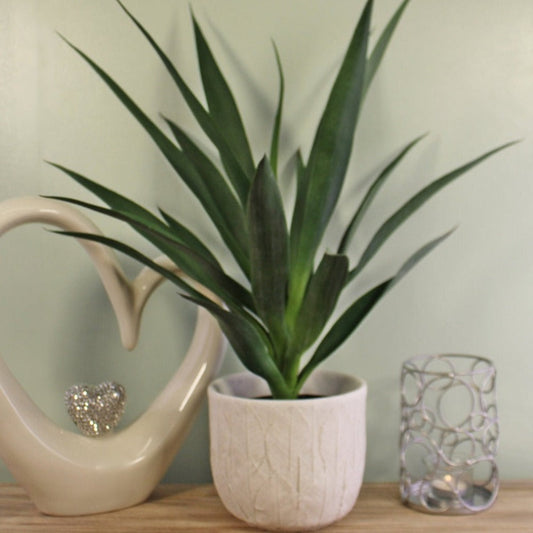 YUCCA ARTIFICIAL PLANT 60CM Artificial Plants from Eleanoras