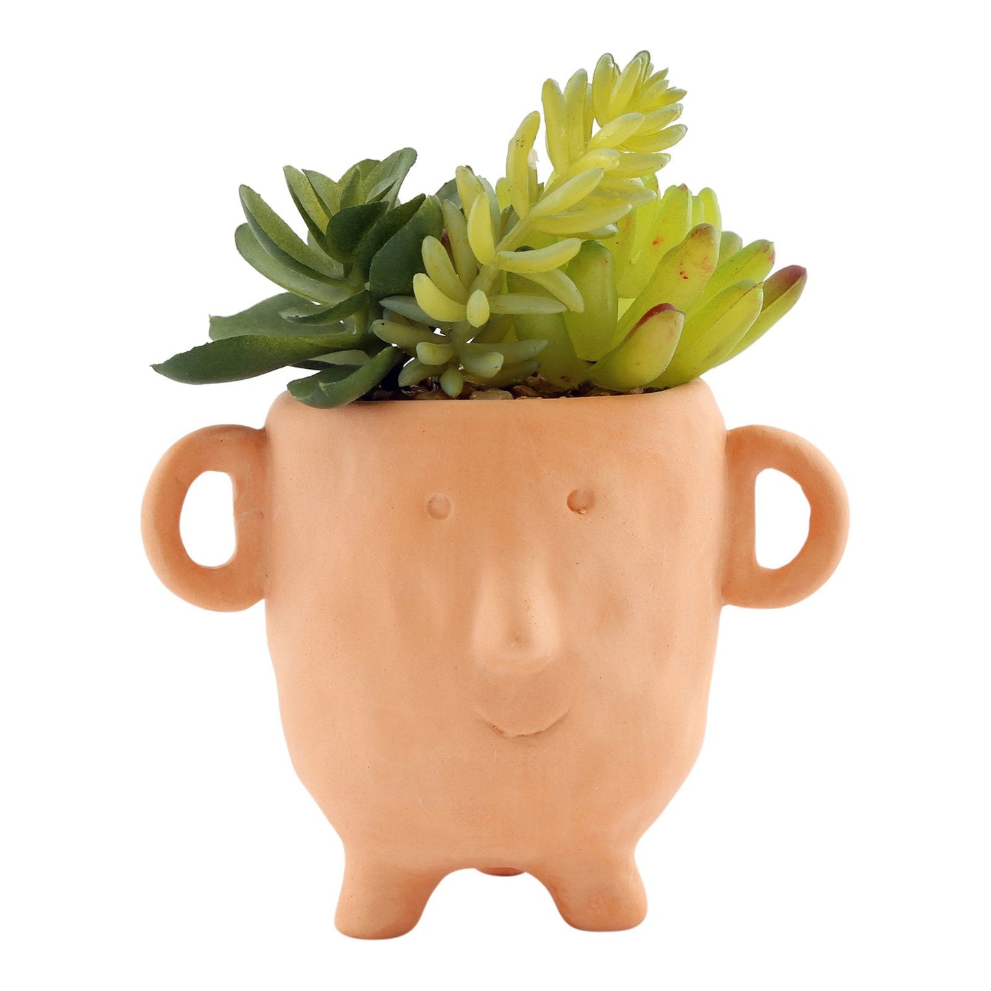 FACE TERRACOTTA POT WITH FAUX CACTI SMALL ARTIFICIAL PLANTS & FLOWERS from Eleanoras