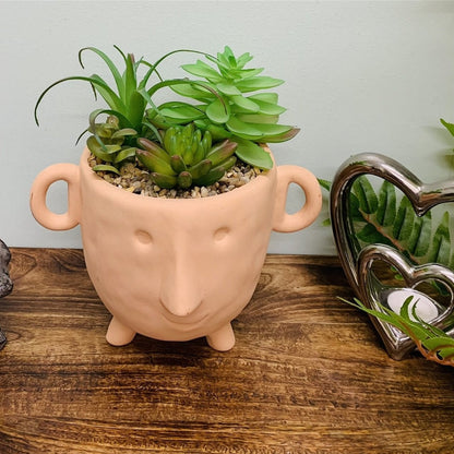 Face Terracotta Pot With Faux Cacti Large