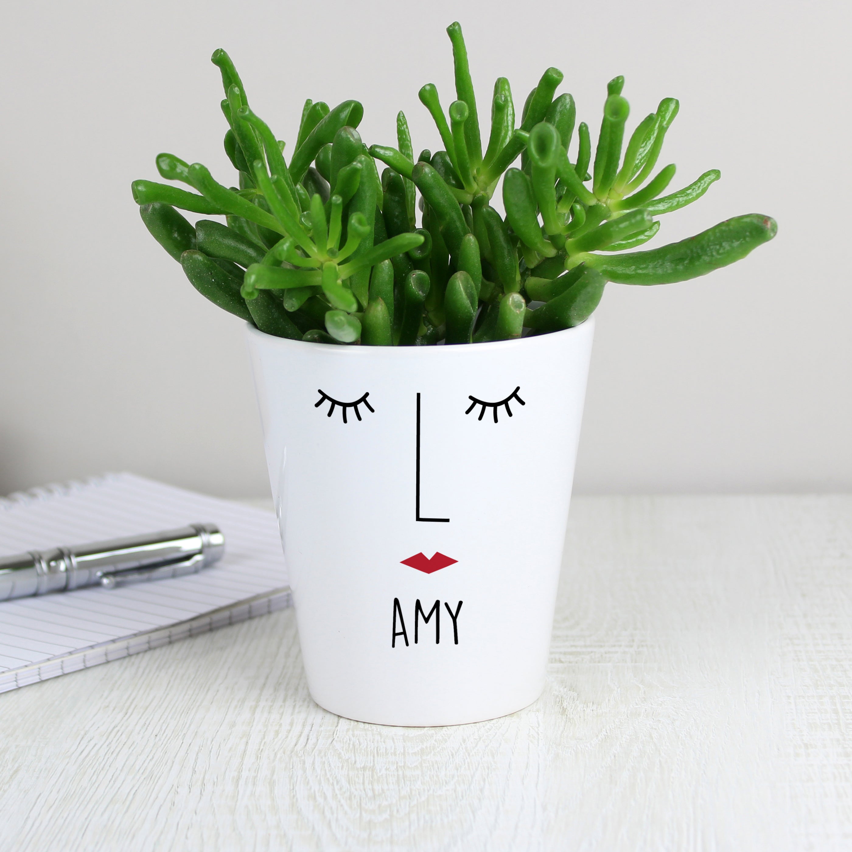 Eleanoras Personalised 'Mrs Face' Plant Pot Plant Pots