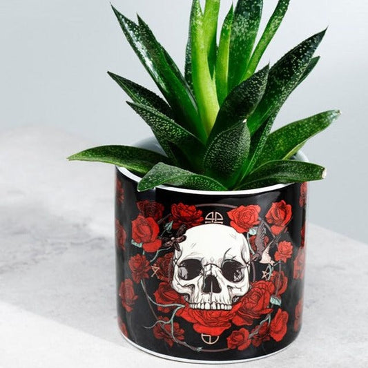 SKULLS & ROSES SMALL  PLANT POT