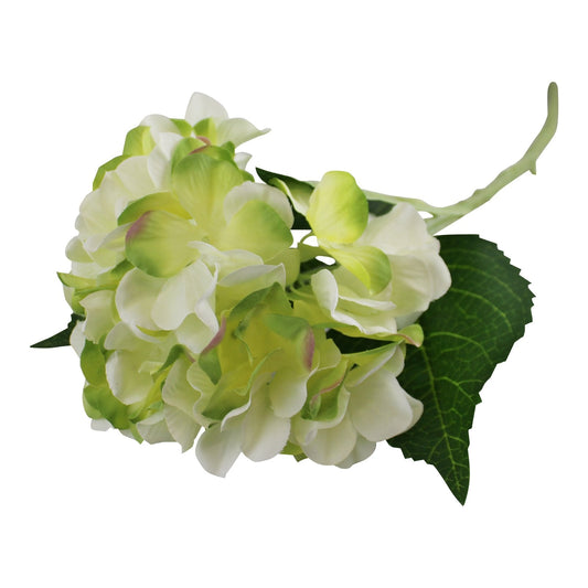 Eleanoras Single Hydrangea Spray, Cream & Green Flower, 49cm 