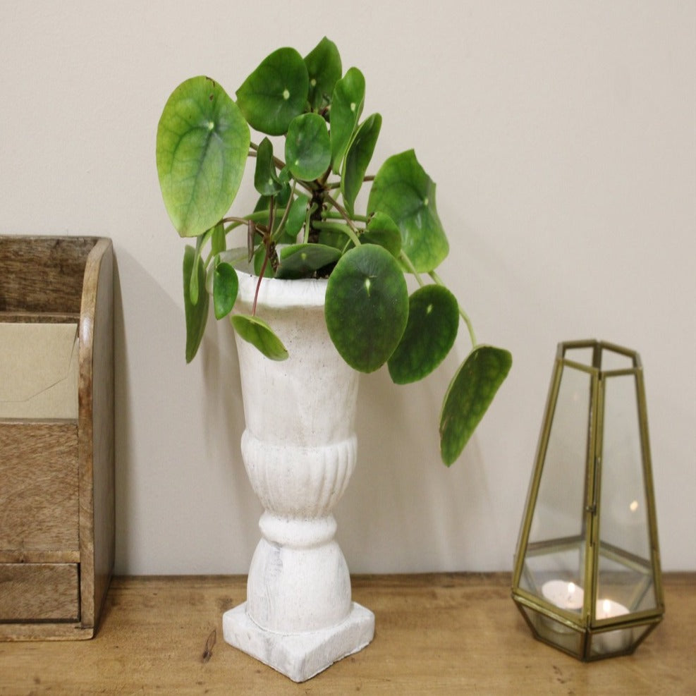 Eleanoras CLASSIC URN PLANTER Planters