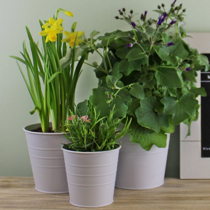 Grey Set of 3 Round Metal Planters