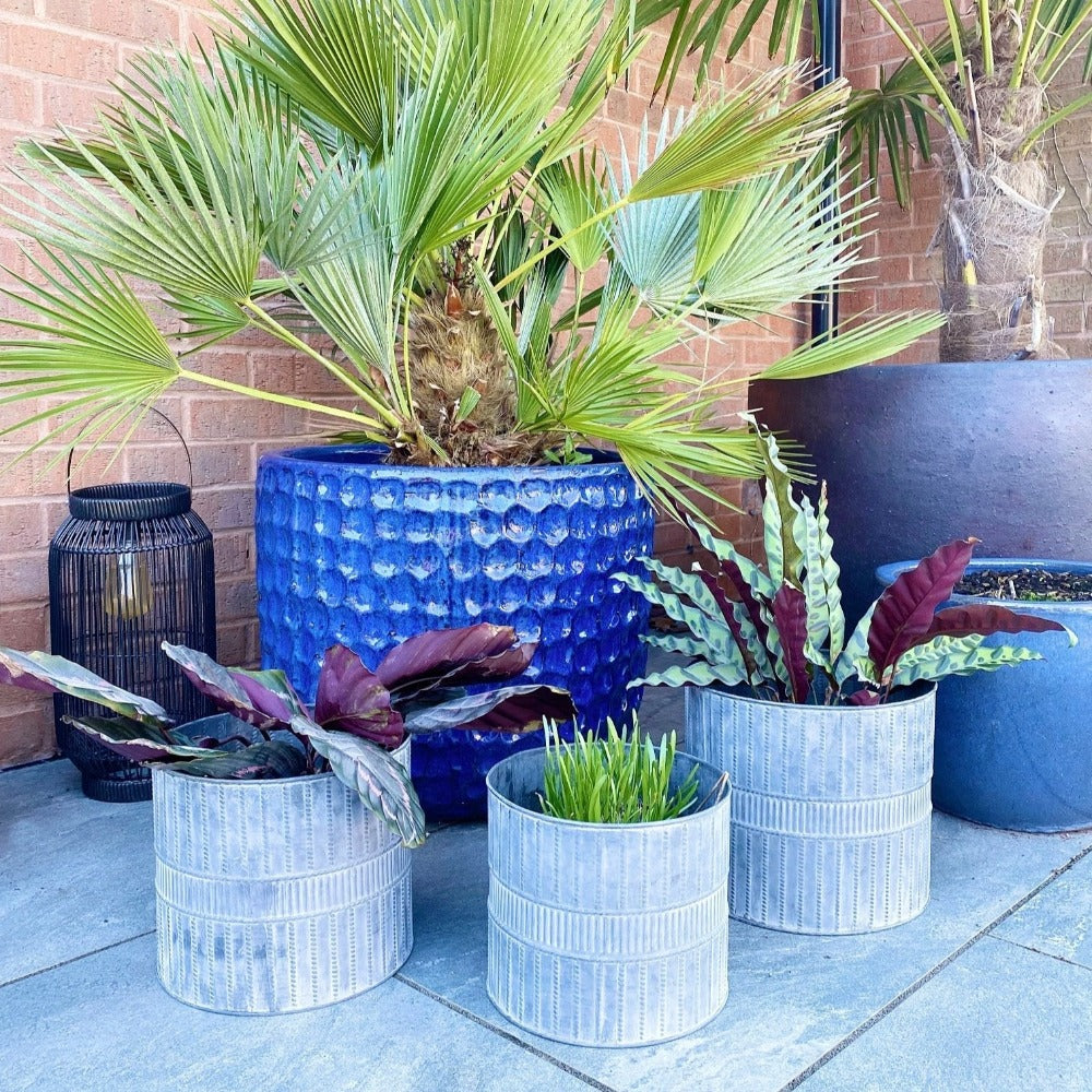 SET OF THREE METAL GARDEN PLANTERS