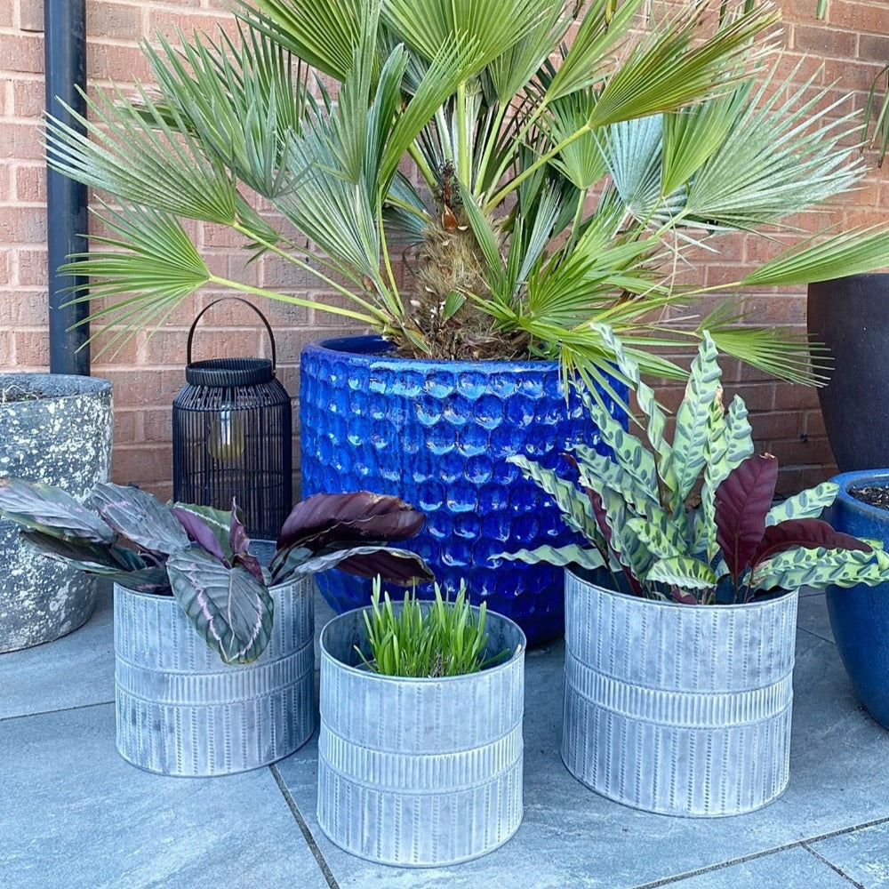 SET OF THREE METAL GARDEN PLANTERS