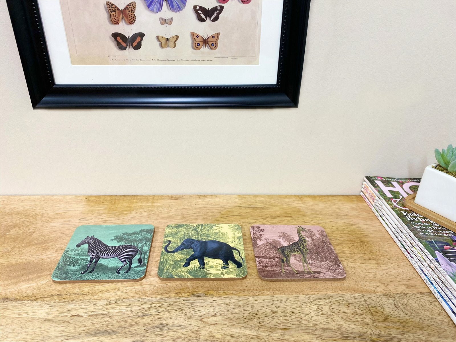 Eleanoras SAFARI PACK OF 6 COASTERS PLACEMATS & COASTERS