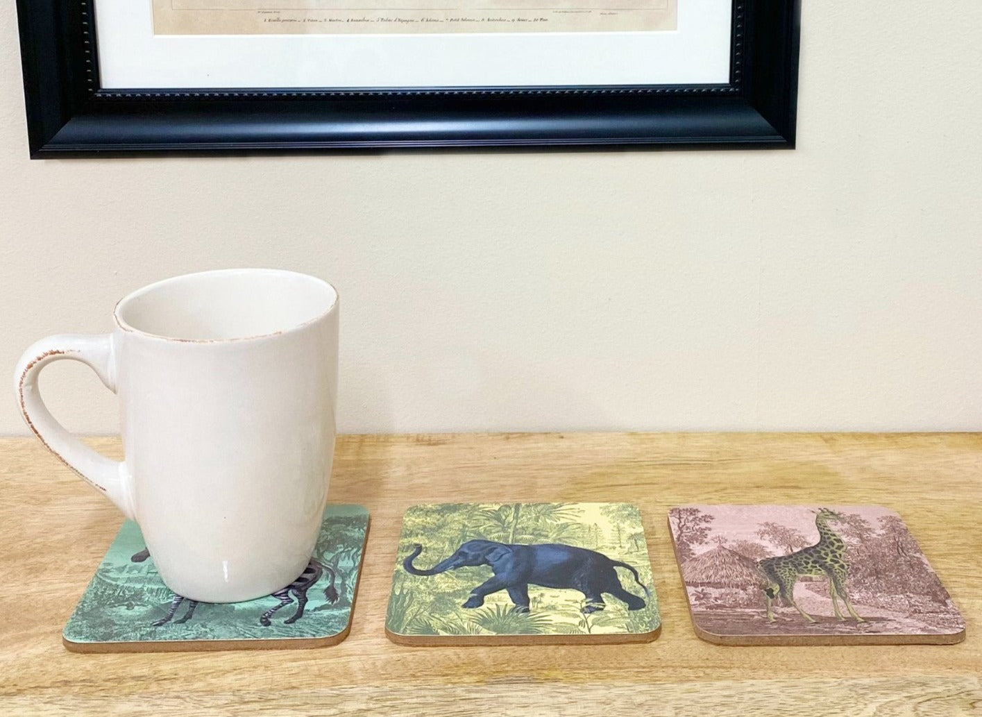 Eleanoras SAFARI PACK OF 6 COASTERS PLACEMATS & COASTERS