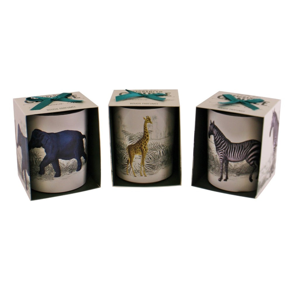 TROPICAL SAFARI SET OF 3 CANDLEPOTS