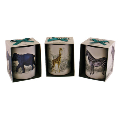 TROPICAL SAFARI SET OF 3 CANDLEPOTS