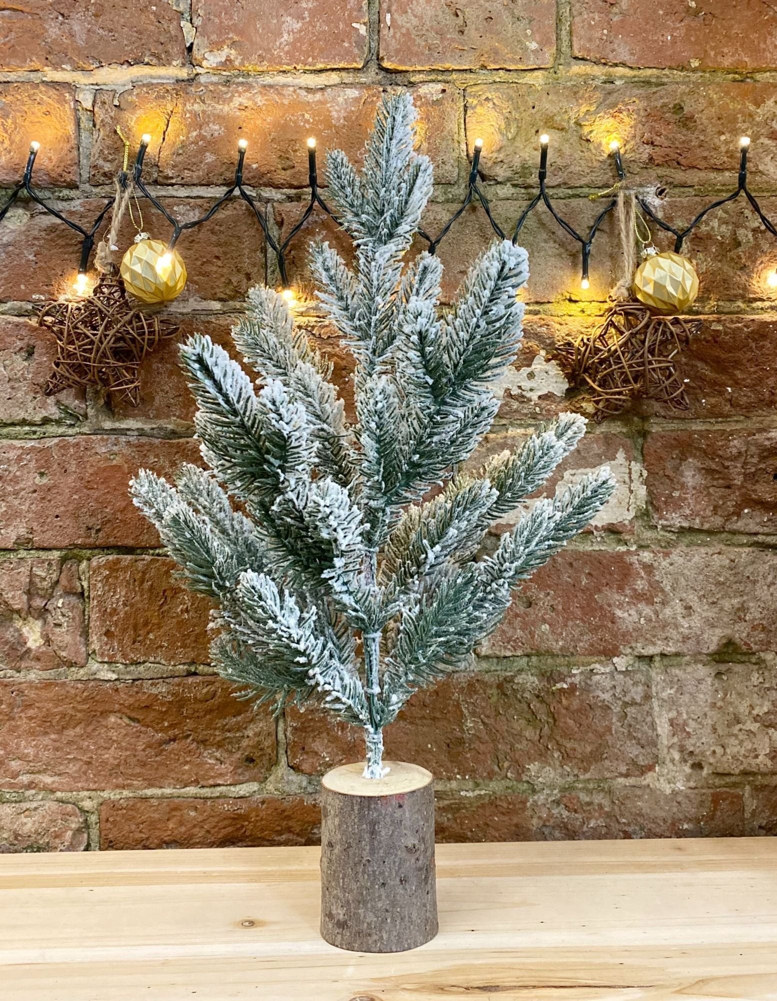 Eleanoras Small Frosted Christmas Tree In Log 43cm 