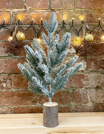 Eleanoras Small Frosted Christmas Tree In Log 43cm 