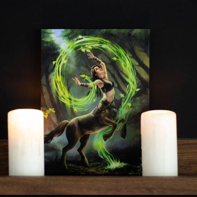 Eleanoras EARTH ELEMENT SORCERESS CANVAS PLAQUE BY ANNE STOKES Canvases