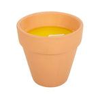 Eleanoras Gardener Of The Year Citronella Candle Candles